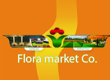 flora_corps_playgrounds