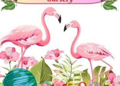 Flamingo kids Area & Nursery